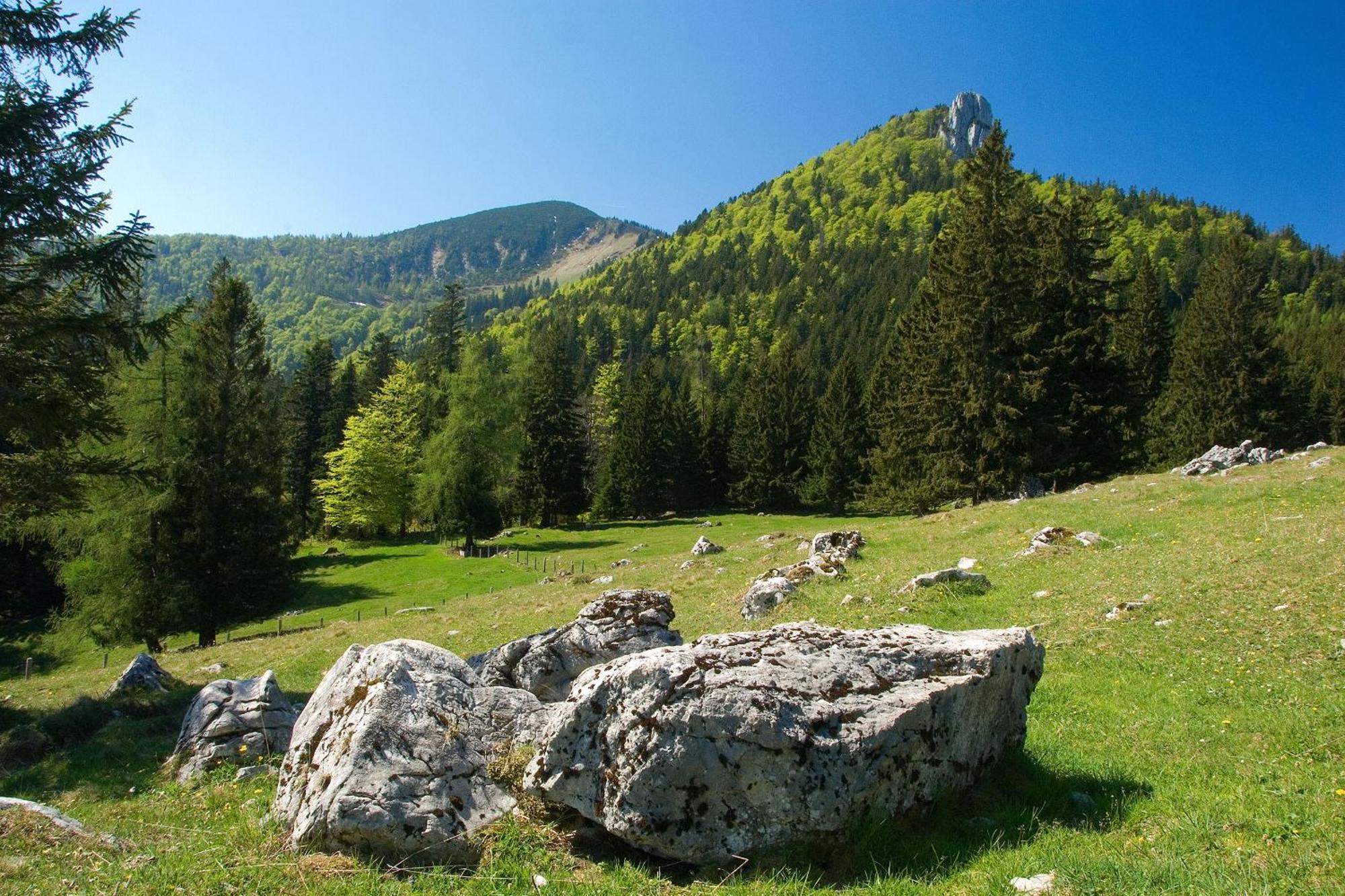 Gaestehaus Weissenbacher-Ferienwohnungen Марквартштайн Экстерьер фото